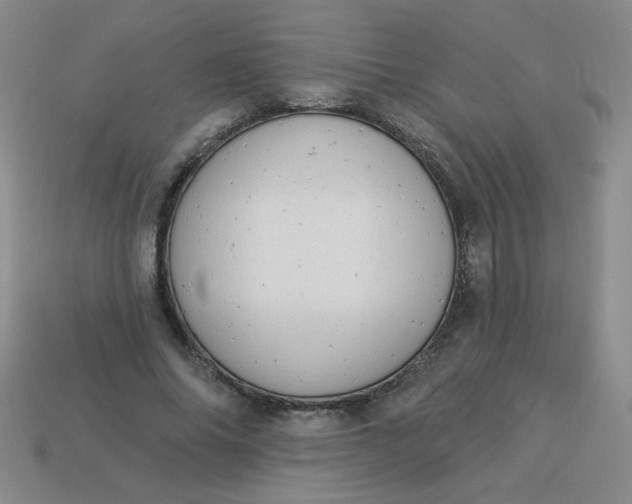 X0000113980686200910161623