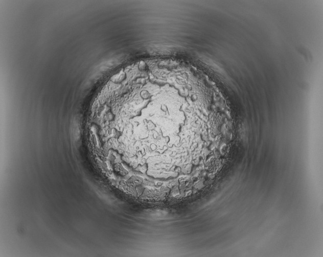 X0000113980687200910161623