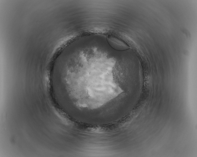 X0000113980688200910161623