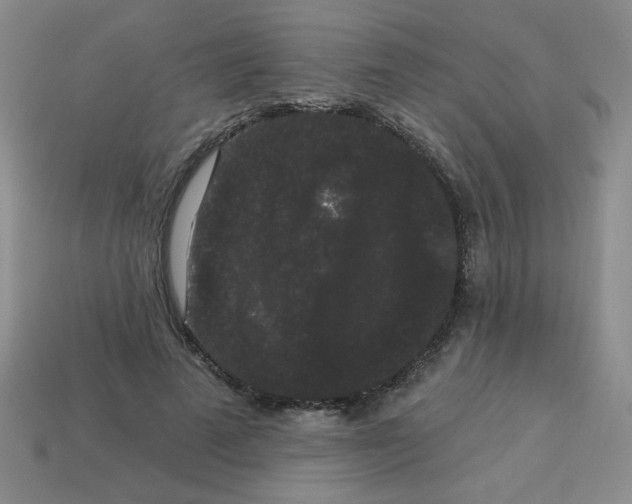 X0000113980689200910161623