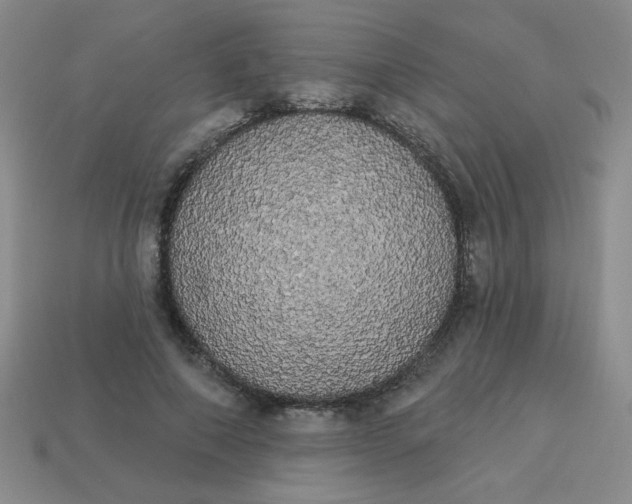 X0000113980690200910161623