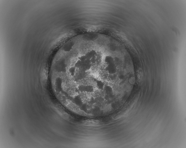 X0000113980691200910161623