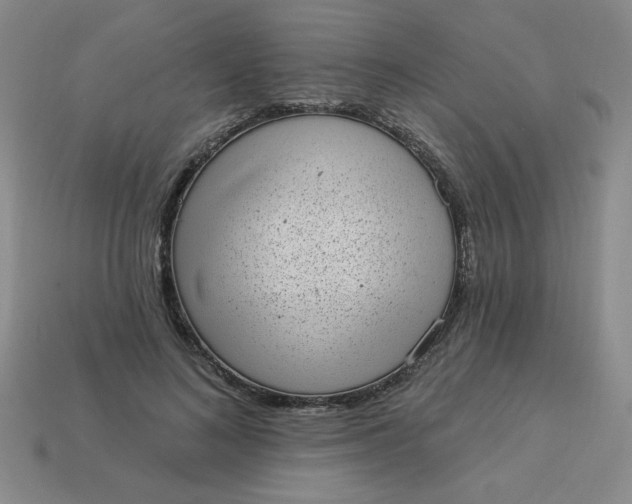 X0000113980692200910161623