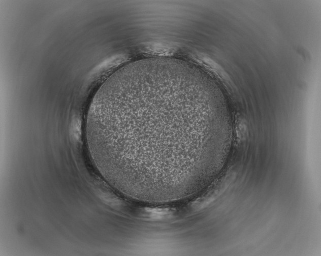 X0000113980693200910161623