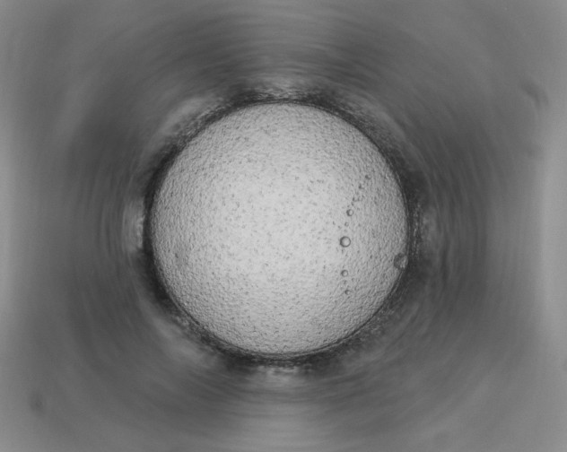 X0000113980694200910161623