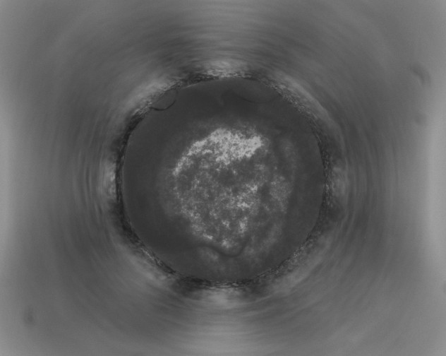 X0000113980696200910161623