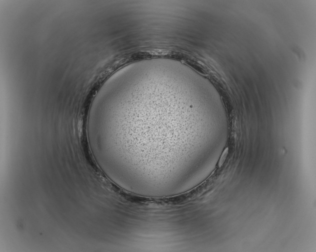 X0000113980697200910161623