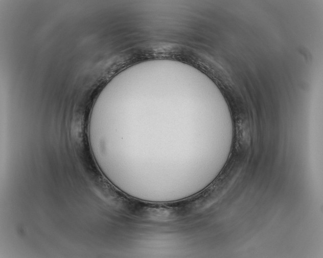 X0000113980698200910161623