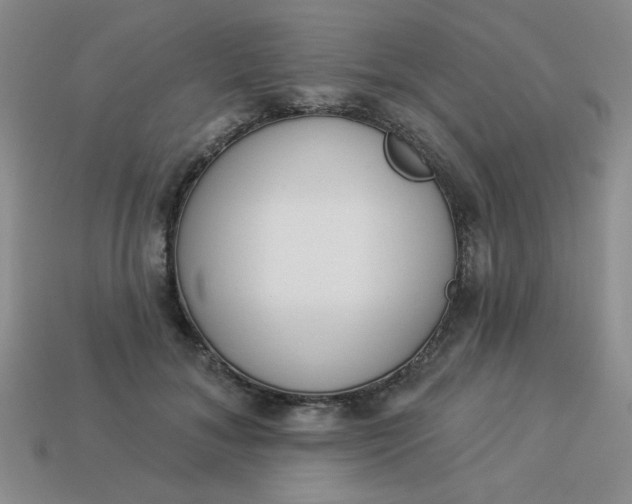 X0000113980700200910161623