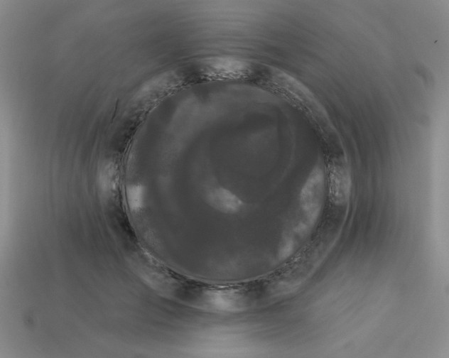 X0000113980701200910161623