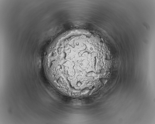 X0000113980703200910161623