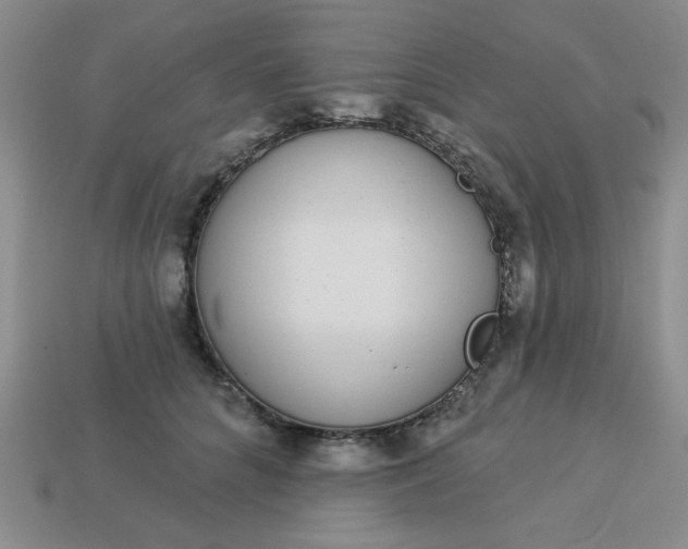 X0000113980704200910161623