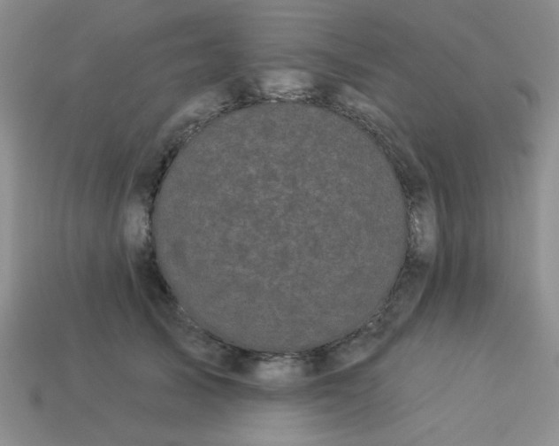 X0000113980705200910161623