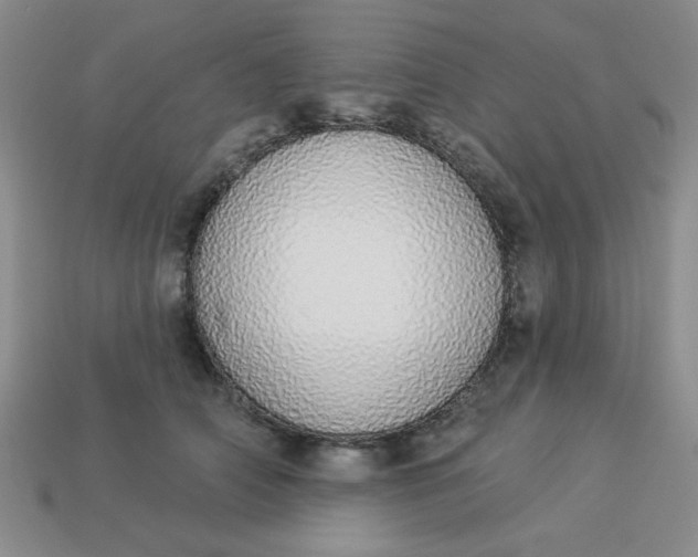 X0000113980706200910161623