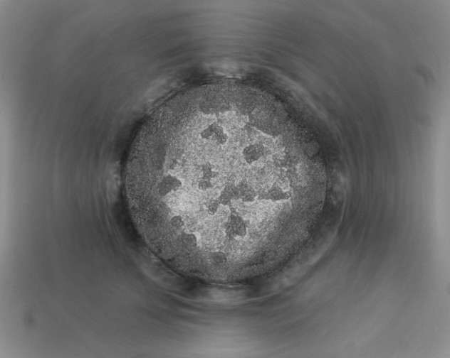 X0000113980707200910161623