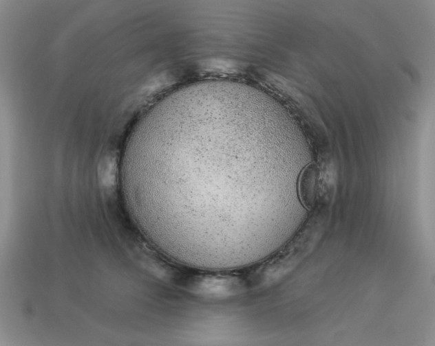 X0000113980708200910161623