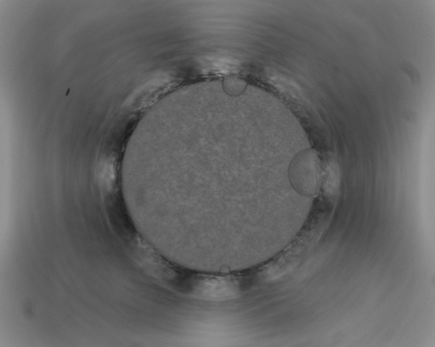 X0000113980709200910161623