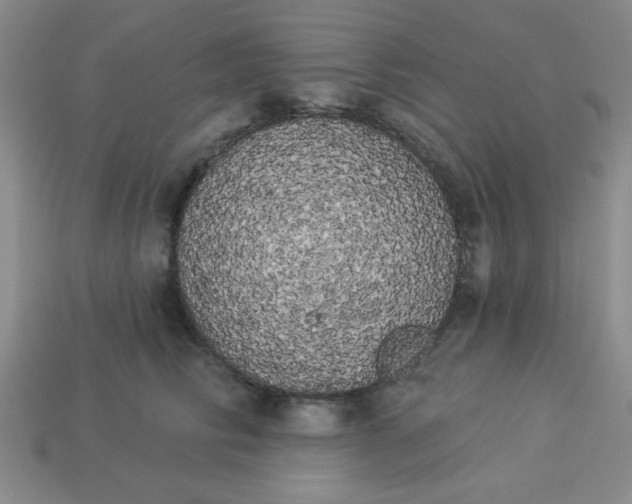 X0000113980710200910161622