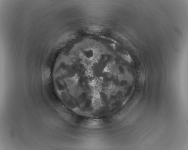 X0000113980711200910161622