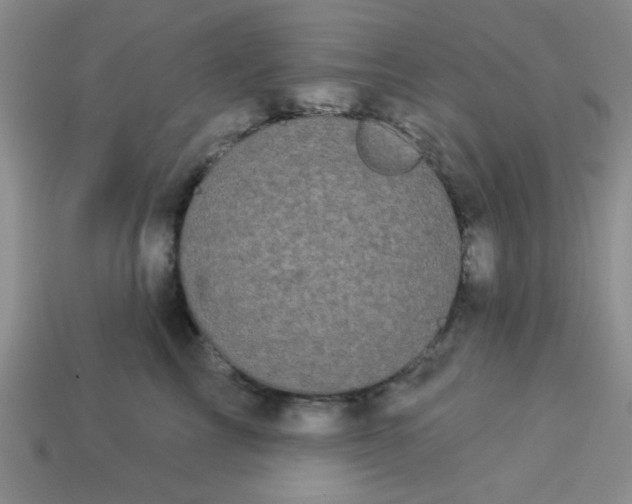 X0000113980713200910161622