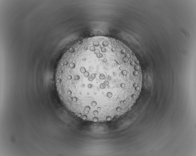 X0000113980714200910161622