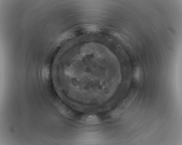 X0000113980715200910161622