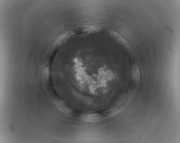 X0000113980716200910161622