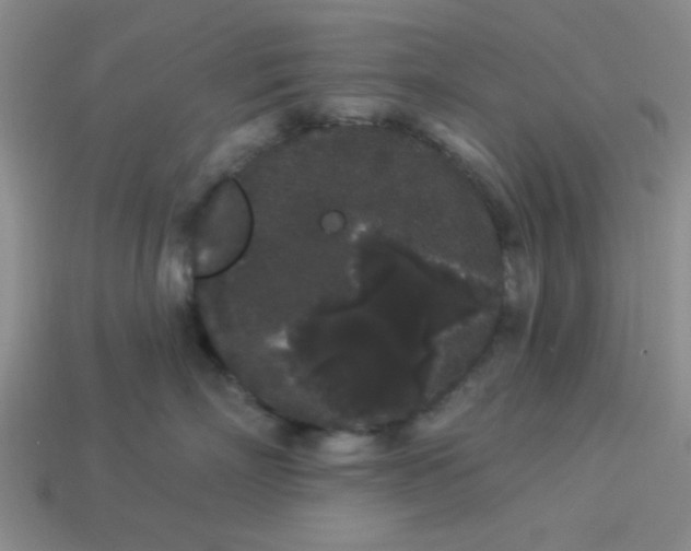 X0000113980718200910161622