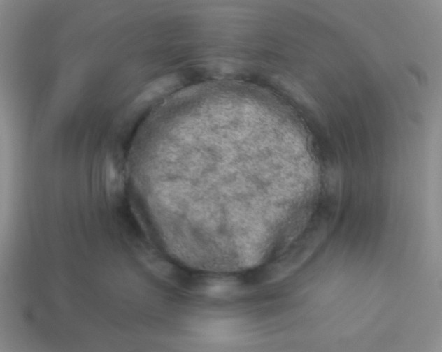 X0000113980719200910161622