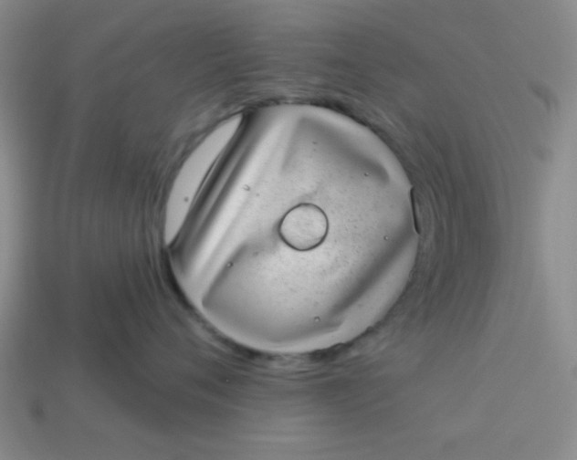 X0000113980720200910161622