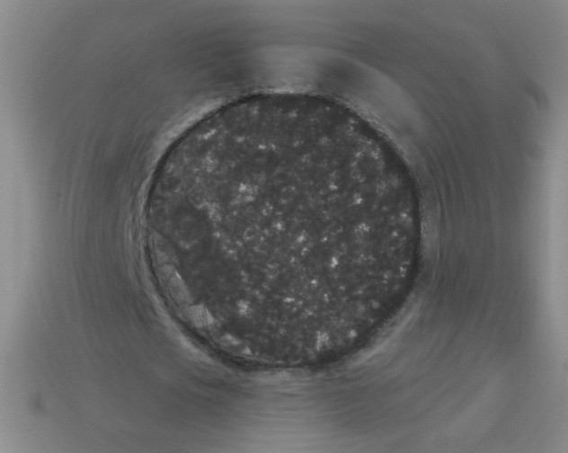 X0000113980721200910161622