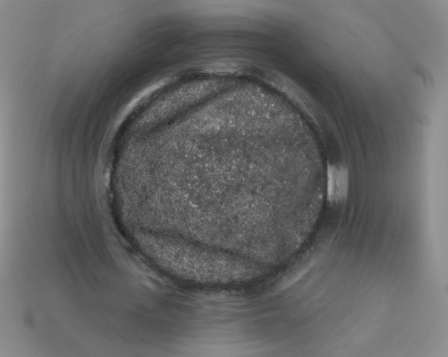 X0000113980723200910161622