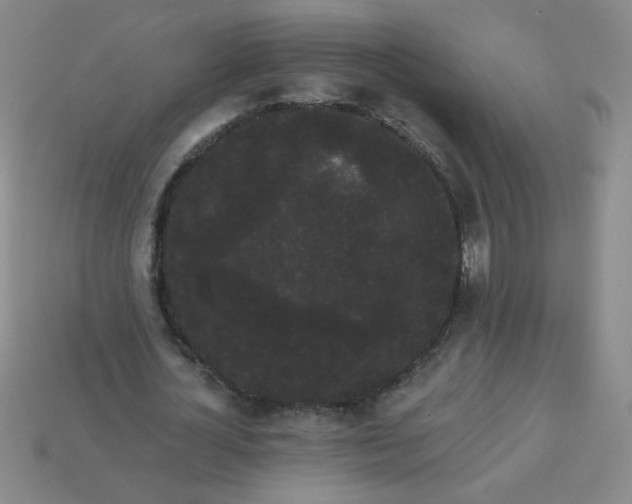 X0000113980724200910161622