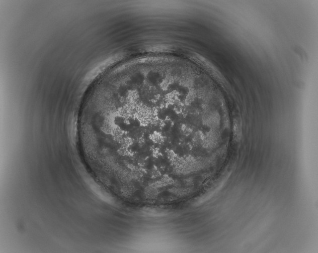 X0000113980725200910161622