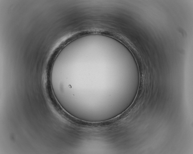 X0000113980726200910161622