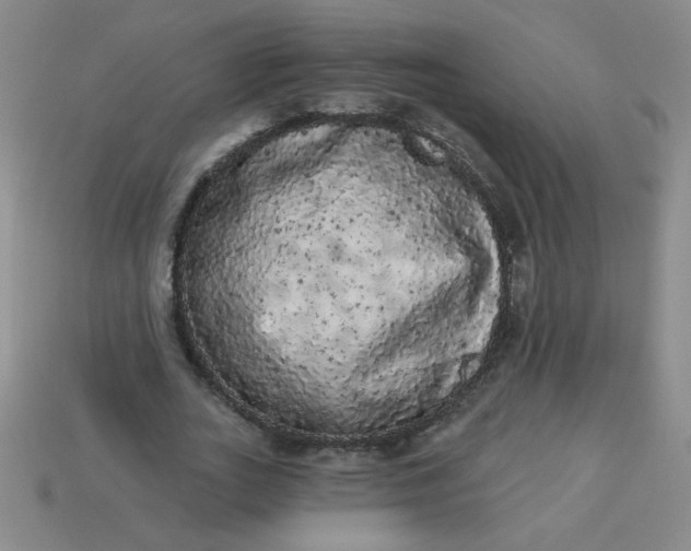 X0000113980727200910161622