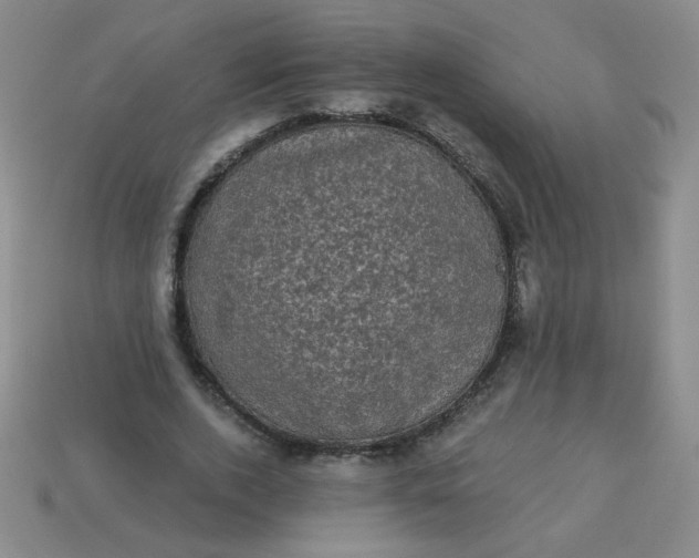 X0000113980728200910161622