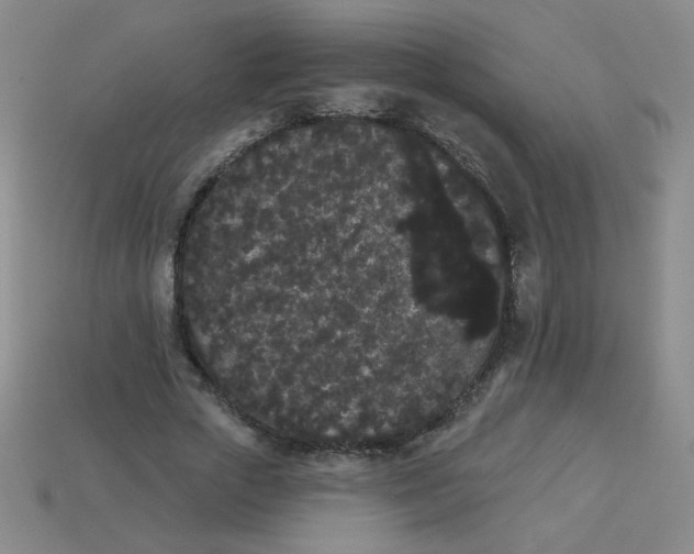 X0000113980729200910161622