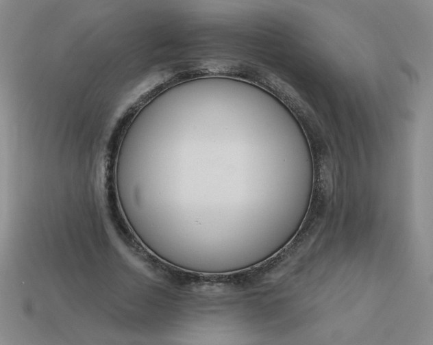 X0000113980730200910161622