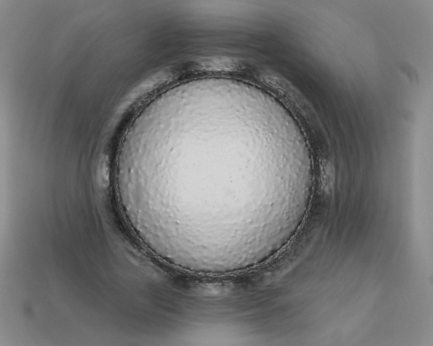 X0000113980731200910161622