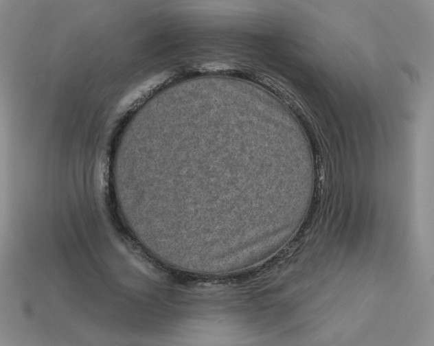 X0000113980732200910161622