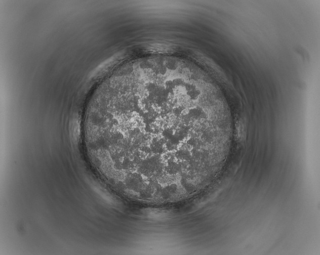 X0000113980733200910161622