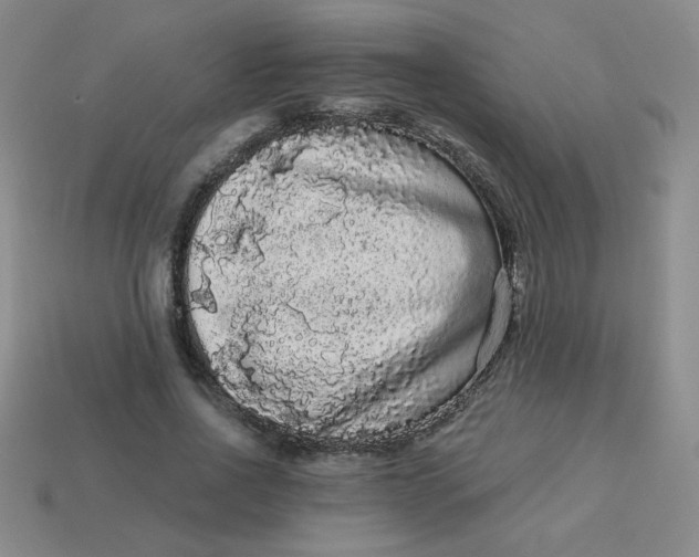 X0000113980734200910161622