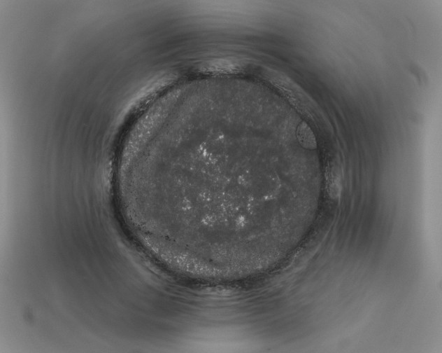 X0000113980735200910161622