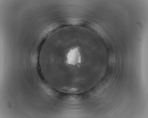 X0000113980736200910161622