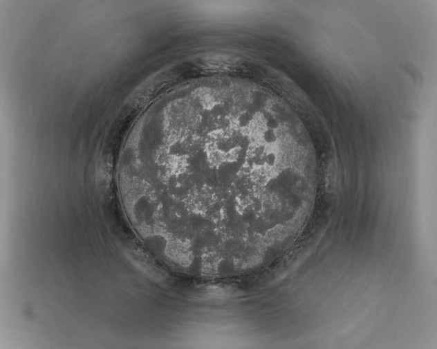 X0000113980737200910161622