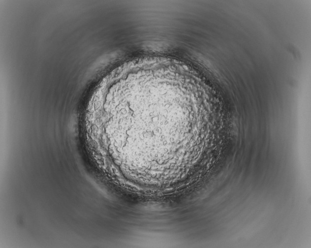 X0000113980738200910161622