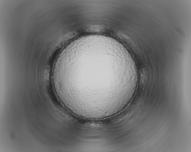 X0000113980739200910161622