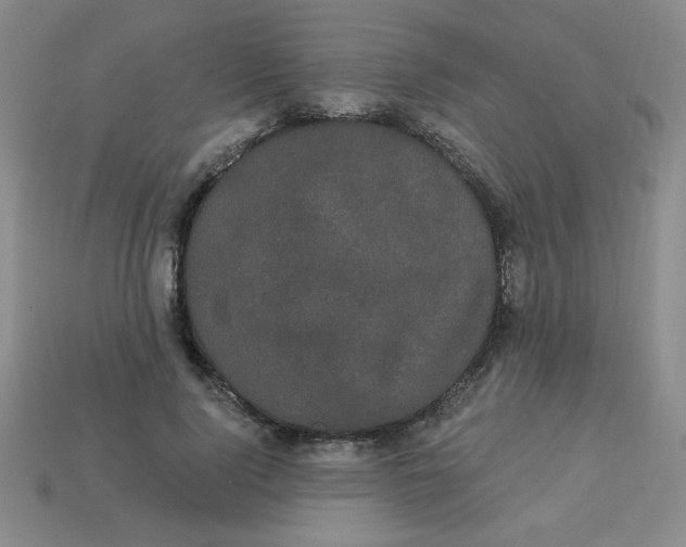 X0000113980740200910161622