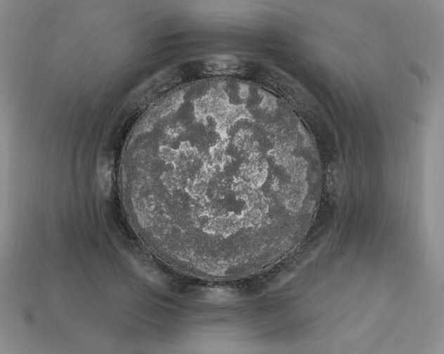 X0000113980741200910161622